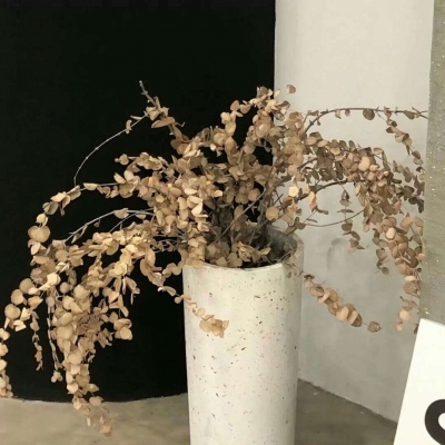 Furry插画光影处理技巧兽圈社群